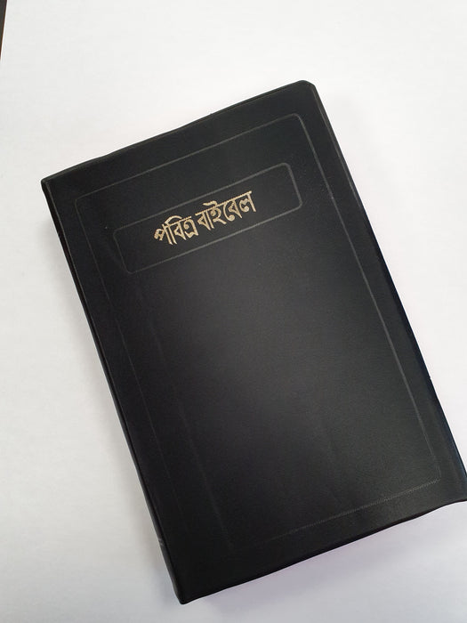 Bengali Raamattu 8171