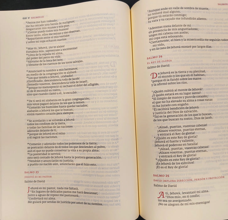 Espanja, Raamattu La Biblia del Siglo de Oro