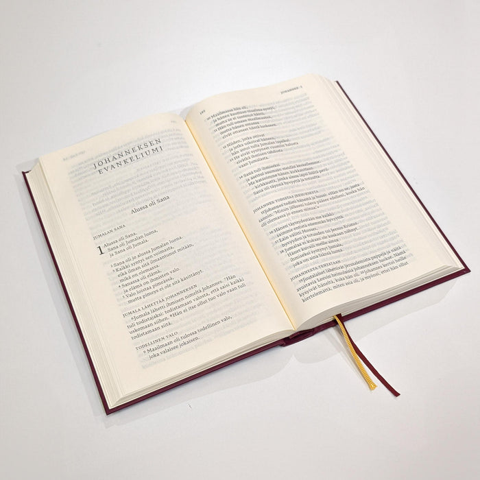 Uusi testamentti ja Psalmit, isotekstinen, vpun. (UT2020 + Psalmit 2024 -käännös)