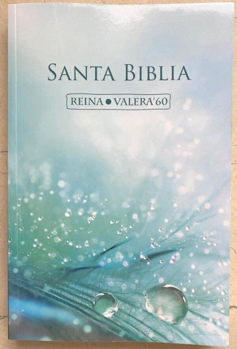 Espanja Raamattu Reina Valera